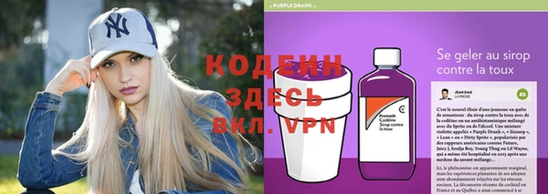 apvp Вязьма