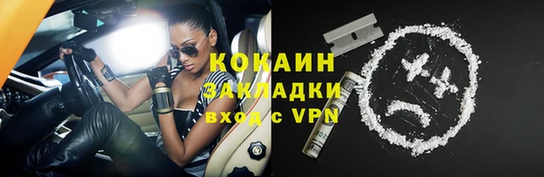 стаф Горняк