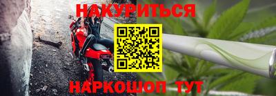 гашик Гусь-Хрустальный