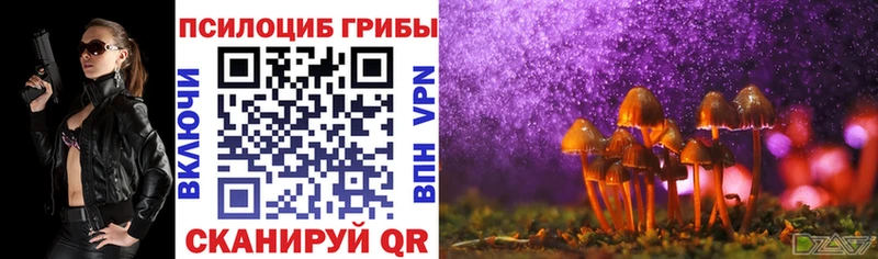 Псилоцибиновые грибы MAGIC MUSHROOMS  Малоярославец 