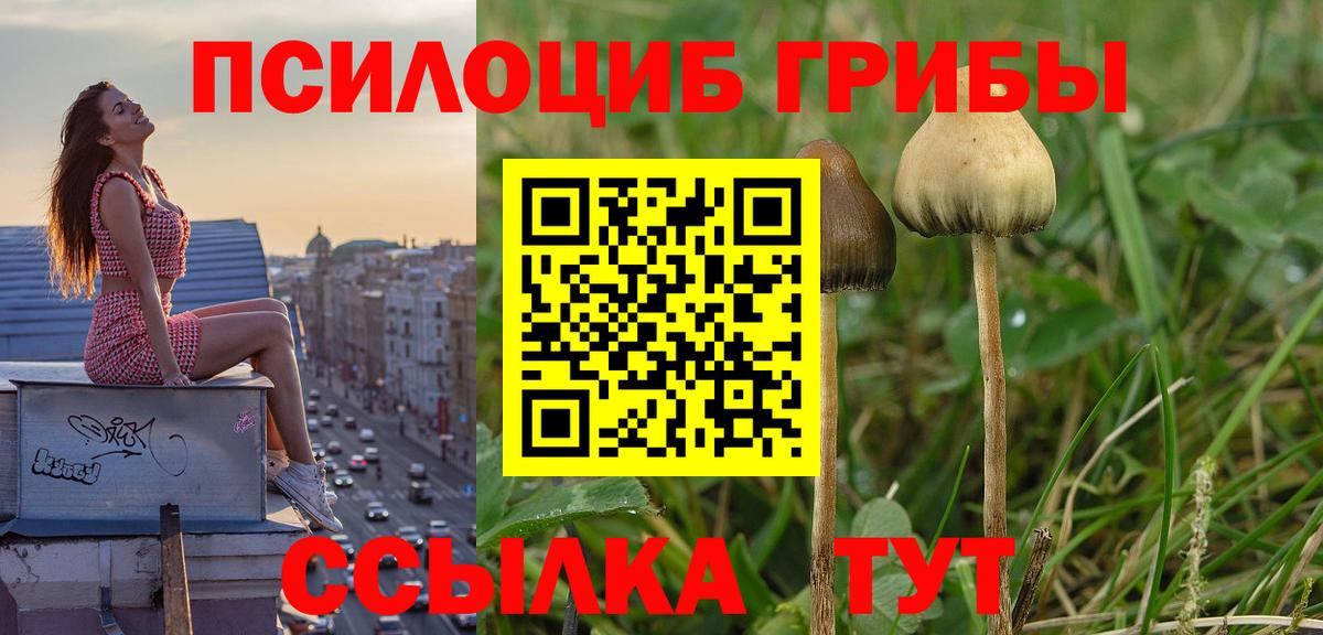 Галлюциногенные грибы мухоморы  Малоярославец  Псилоцибиновые грибы ЛСД 