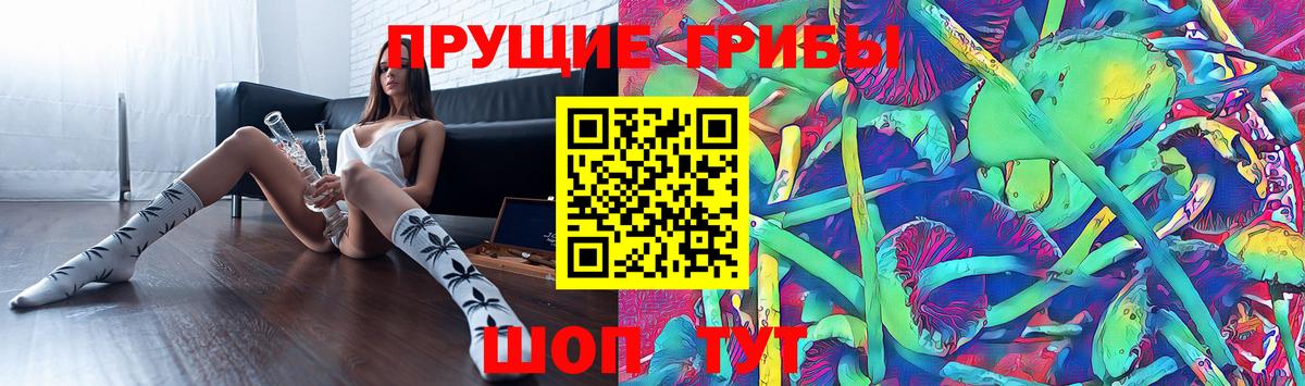 Псилоцибиновые грибы ЛСД  Галлюциногенные грибы Psilocybine cubensis  Малоярославец  продажа наркотиков  Вход с VPN 